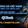 Xem Lịch Bóng Đá Việt Nam Hôm Nay Lúc Mấy Giờ? Hướng Dẫn Theo Dõi Trực Tiếp Trên 8xbet